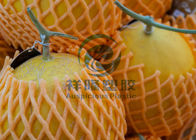 De zachte Netto Dekking van het Schuimfruit, Schuimomslag voor Milieuvriendelijk Fruit